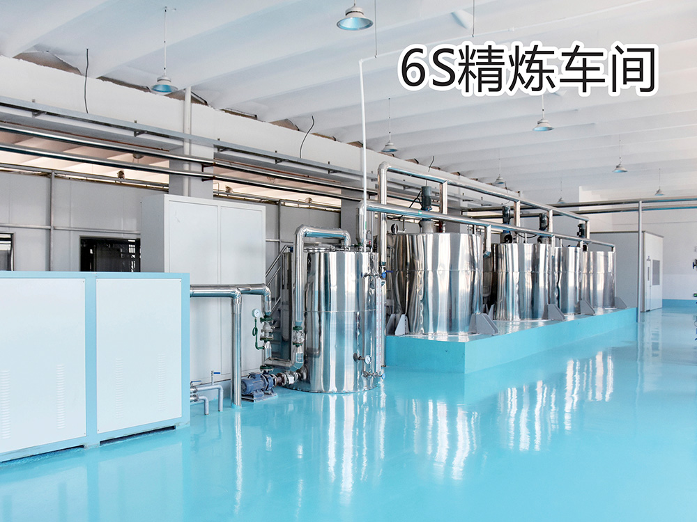 6S精炼