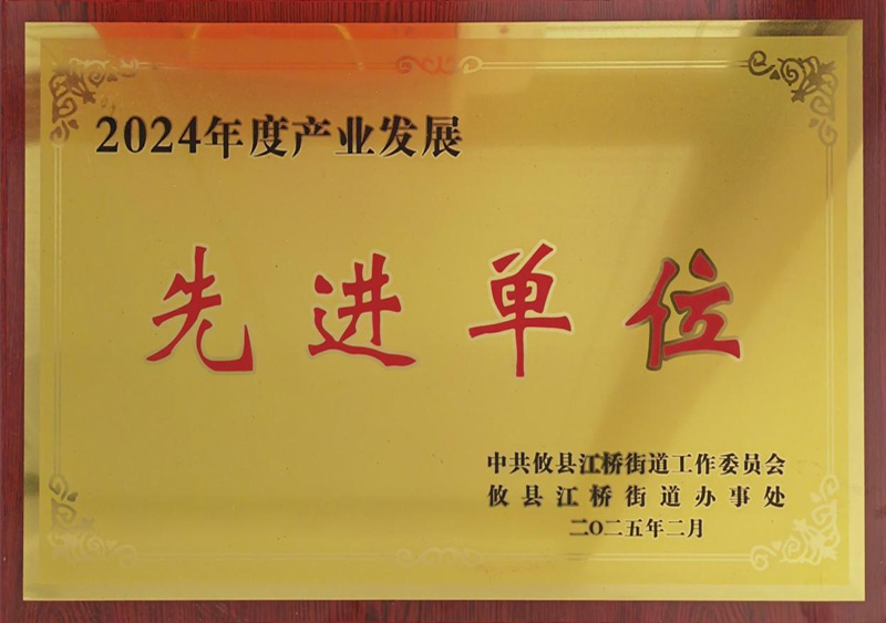 2024年度产业发展先进单位
