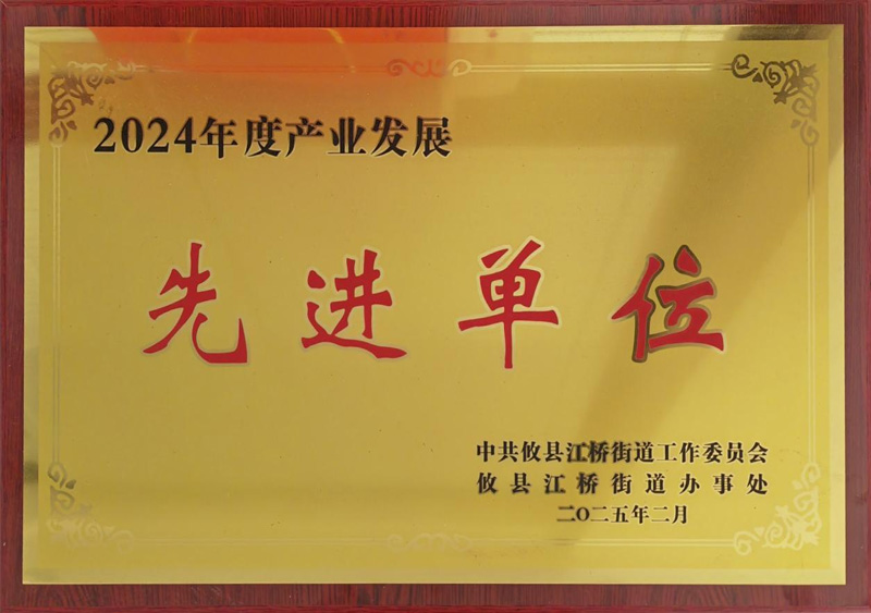 2024年度产业发展-先进单位