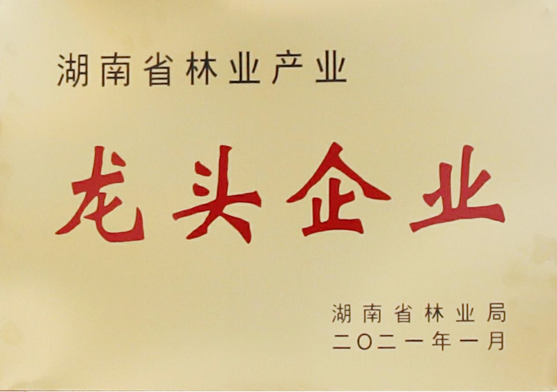 湖南省林业产业龙头企业
