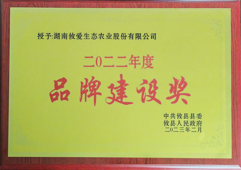 品牌建设奖