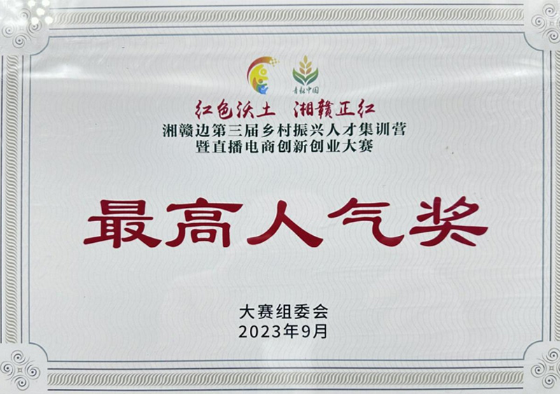 最高人气奖