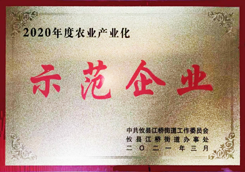 2020年度农业产业化-示范企业