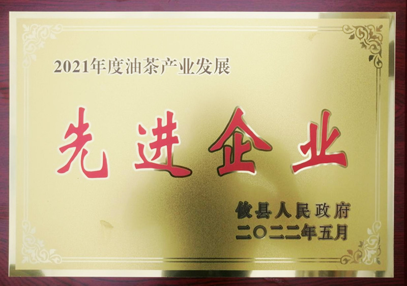 2021年度油茶产业发展-先进企业