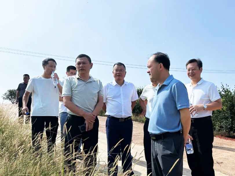 领导视察攸爱油茶产业园，共促产业新发展