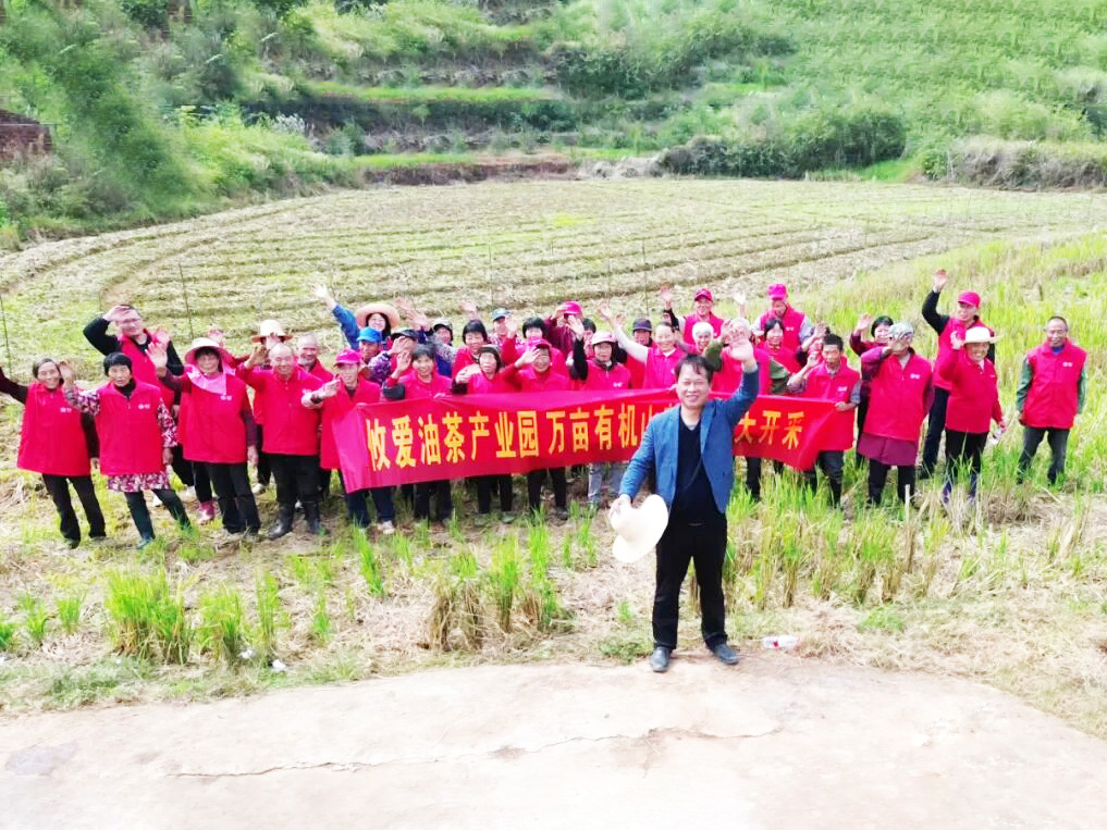 金秋畅享，攸爱基地茶果采摘盛宴启幕
