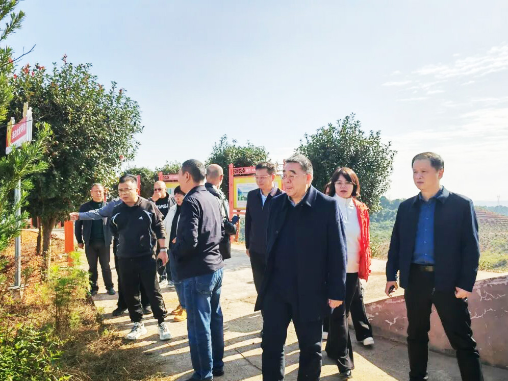 余群明调研攸爱山茶油基地：推动油茶深加工，助力乡村振兴