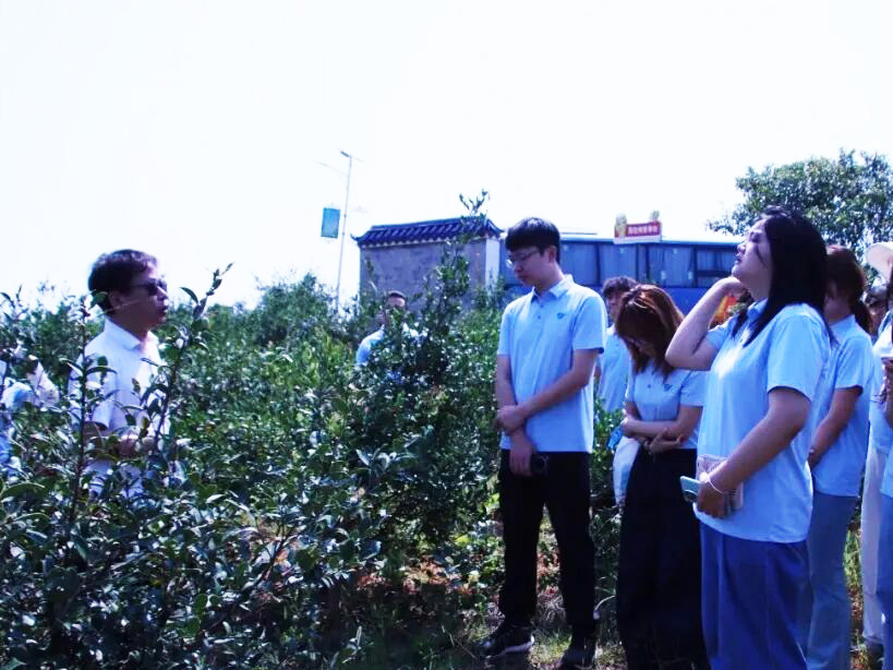 攸爱山茶油：“研实业” 之旅开启大学生新认知
