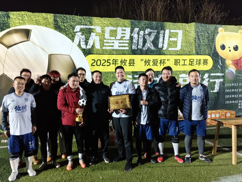 2025年攸县“攸爱杯”职工足球赛圆满落幕