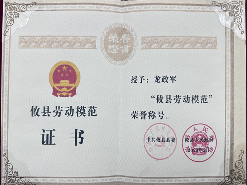 攸县劳动模范荣誉称号