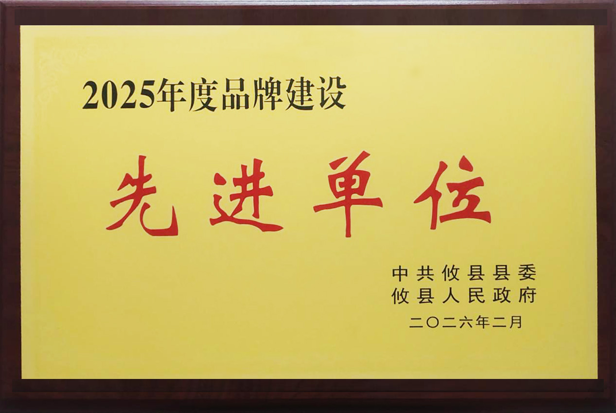 2025年度品牌建设先进单位