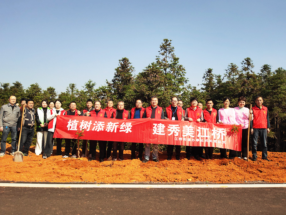 江桥街道机关干部赴攸爱油茶基地开展义务植树活动